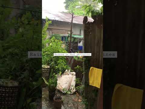 #tourist #raining #philipines #manila #weather