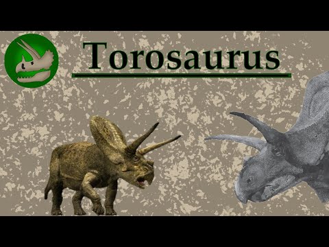 The Prehistoric Bull | Torosaurus