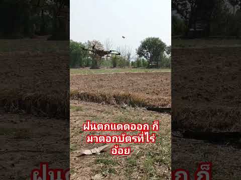 #djit30 #บ้านแท่นโดรนเกษตร #drone #คนบ้านเฮา #farming #คนอีสาน #farmlife #funny