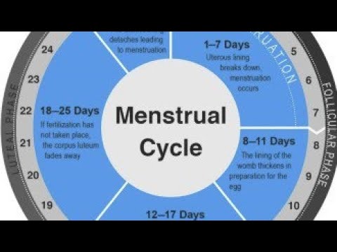 Menstrual cycle #neet2023 #biology #neet