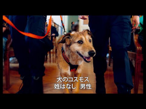 被告人ならぬ被告犬！前代未聞の犬の裁判　彼は“無罪”か“有罪”か？　『犬の裁判』予告