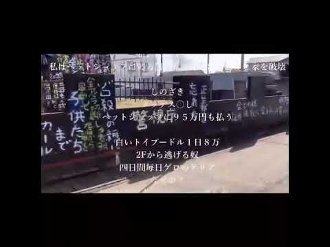 蓮田の黒い家※文字内容