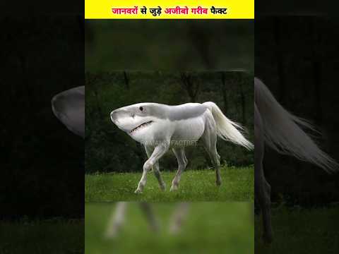 जानवरो से जुड़े अजीबो गरीब फैक्ट😱 #facts #viral #factsinhindi