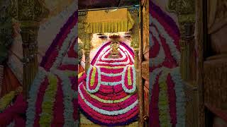 Khatu Shyam live darshan today #trending #shyam #shortsfeed #baba #khatu #khatushyam #shyambaba