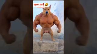 भाग सारे😂🤣 #shubham #youtuber #ankit #Jack #youtuber #shubham #shorts #viral #trending 😂🤣