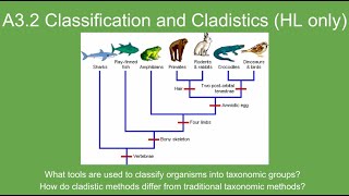 A3.2 Classification and Cladistics (HL only) - IB Biology New Curriculum