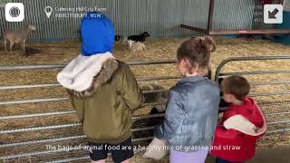 Explore South West - Calmsley Hill City Farm review