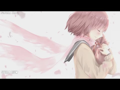 【Acoustic Song】Japanese Song Make You Relax and Calm  | Collection #11
