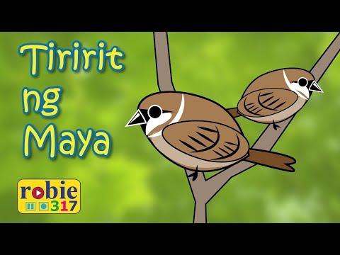 Tiririt ng Maya | Filipino/Tagalog Folk Song | robie317
