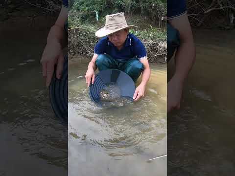 This Is How I Found Gold – Incredible Gold Discovery! #gold #camping #treasuresearch