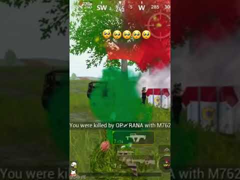 I am totaly confused here ( be patient )