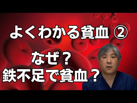【よくわかる貧血②】なぜ？鉄不足で貧血？