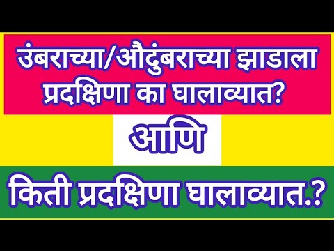 उंबराच्या/औदुंबराच्या झाडाला प्रदक्षिणा का घालाव्यात आणि किती प्रदक्षिणा घालाव्यात.. #swamisamarth