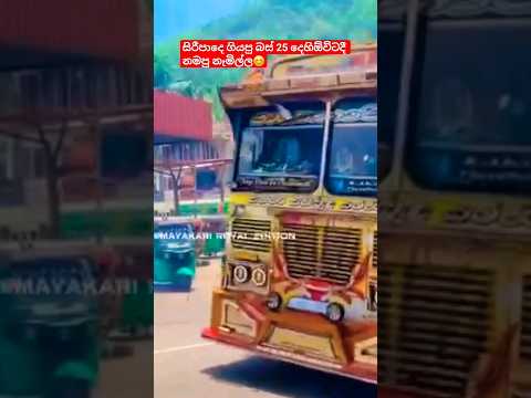 සිරිපාදේ ගියපු බස් සෙට්එක නමපු නැමිල්ල💗#kasiya_bus_kingdom #trending#bus #viral#automobile #sinhala