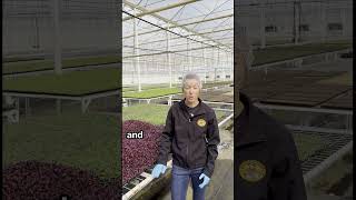 🌱🤖 Ag-Tech in Action in Goodyear, AZ! 🚜✨ #agtech #farming #farmsmart #foodeducation