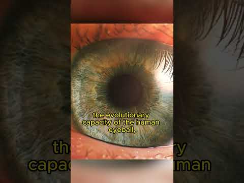 You Only See Very Little In Reality | Visible Light | Strange facts you never knew P.37 #shorts