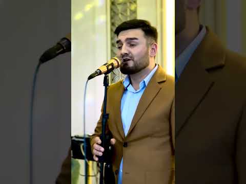 Karomat Habibov - Shohi gul ‘’2024''