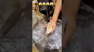 #mineralindustry #goldbusiness #goldindustry #satisfying #nature #love #goldmining 😱😱😱😱😱