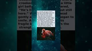 The Half-Brained Flamingo with More Heart Than Anyone