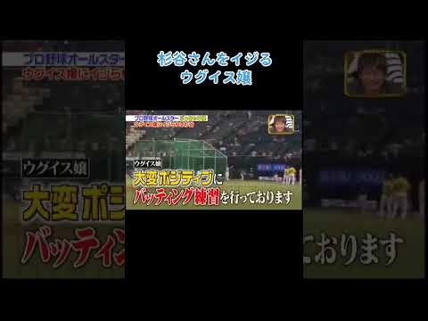 杉谷拳士をイジるウグイス嬢 #プロ野球