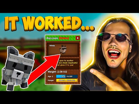 How To Get Raccoon in Grow A Garden Roblox (Full Tutorial) *2025*