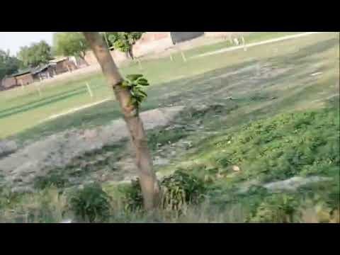 , Yeh Hai Doston yah dekhiae Kitna Shandar feel Hai ismein cricket