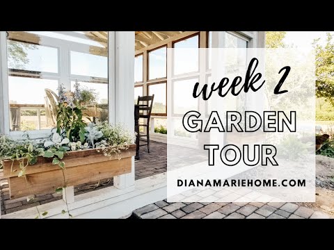 Garden Tour Week 2 | Diana Marie Home