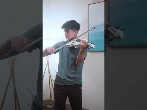 Alan Milan Plays "Loser" by Charlie Puth - Violin Cover