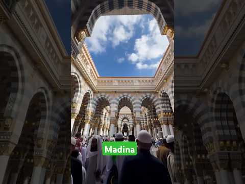 Mohammed Nabiha: Islamic reminder Short video Beautiful Islamic reminder