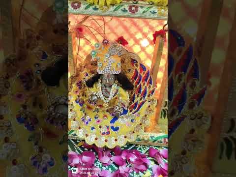 #krishna#kanha#janamashtami#laddugopalstatus#laddugopaldress#laddugopalshorts#laddugopalseva#