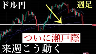 【来週予想】ついに暴落or暴騰の節目が来ました。生き残るための戦略について話します