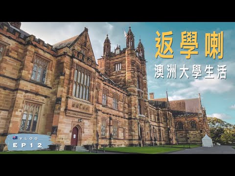 【返學】🇦🇺澳洲大學生活 ｜悉尼大學職業治療學生｜超美藍花楹 Jacaranda｜Burwood香港冰室｜澳洲留學記 EP12｜廣東話 | VLOG: OT Student life USyd