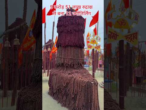 5 करोड़ 51 लाख रुद्राक्ष से बना 12 ज्योतिर्लिंग #mahakumbh_mela #mahakumbh #prayagrajkumbh #महाकुंभ