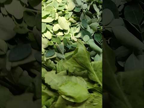 ସଜନା ଶାଗ ବେସର #shorts#cooking#vlog#viralshorts#trending