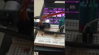 Ultrasonic distance sensor & raspberry Pi pico w #raspberrypiprogramming  #pythoncoding #tgonny