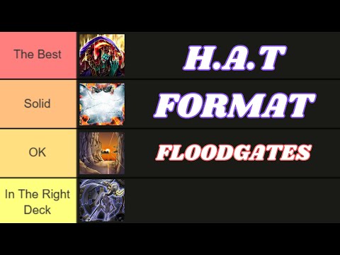 The Best HAT Format Floodgate Tier List & Discussion! | 2014 Yu-Gi-Oh! WCQ HAT Format