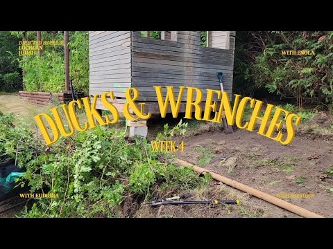 Ducks & Wrenches Ep 4// Building The Duck Run