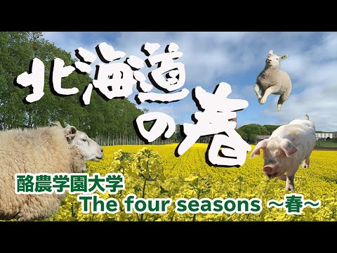 The Four seasons~春～