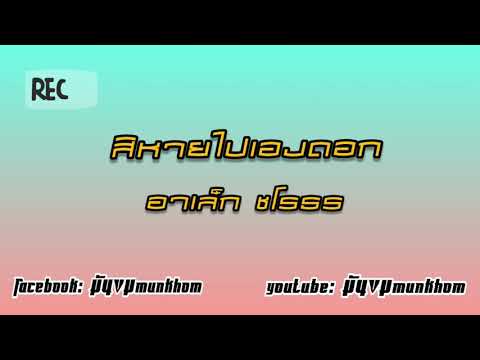 สิหายไปเองดอก|อาเล็ก ชโรธร|#tiktok#กำลังฮิต