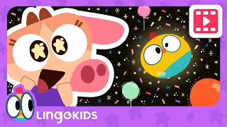 FUN WITH MATH 🎈📏 Sizes for kids | Cartoons for kids | Lingokids
