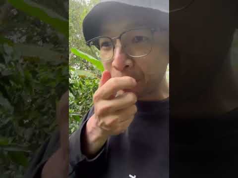 Joe in Mexico. Tasting coffee fruit.