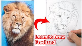 Learn to Draw FREEHAND -Sketching Lesson