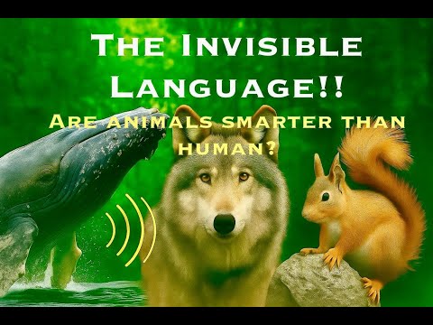 Decoding Animal Communication: Unseen World Revealed - the invisible language