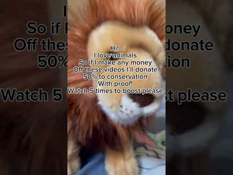Boost so I can get monetised #animals #shorts