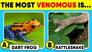 How Good Is Your Knowledge of ANIMALS? 🐸🐍✅ General Knowledge Trivia Quiz