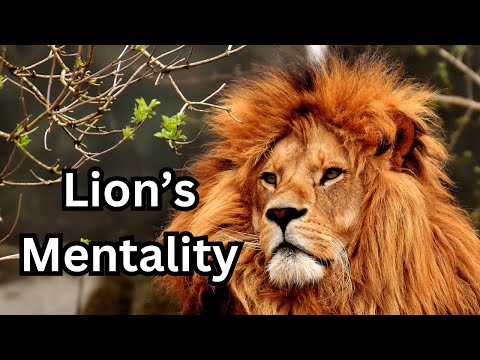 Lion's Mentality | Daring & Fearless | Face Your Challenges | Live Like A King | Motivation Videos |