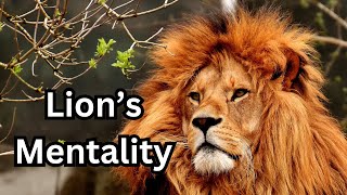 Lion's Mentality | Daring & Fearless | Face Your Challenges | Live Like A King | Motivation Videos |