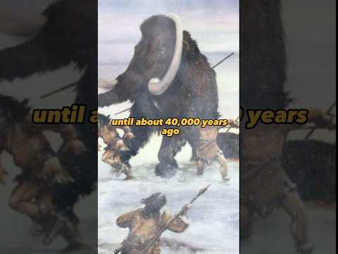 Neanderthals - who were they? #neanderthals #neandertal #ancient #history #ancienthistory