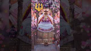 Shyam Bas Gaya Tu Mere Dil Mein #shyam #khatushyam #shyambaba #jaishreeram #hindudeity #khatuji