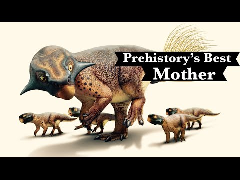 What was the Best Mother In Prehistory?
